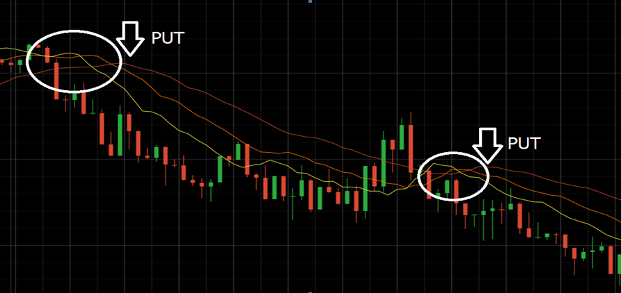 Alligator signals for IqOption