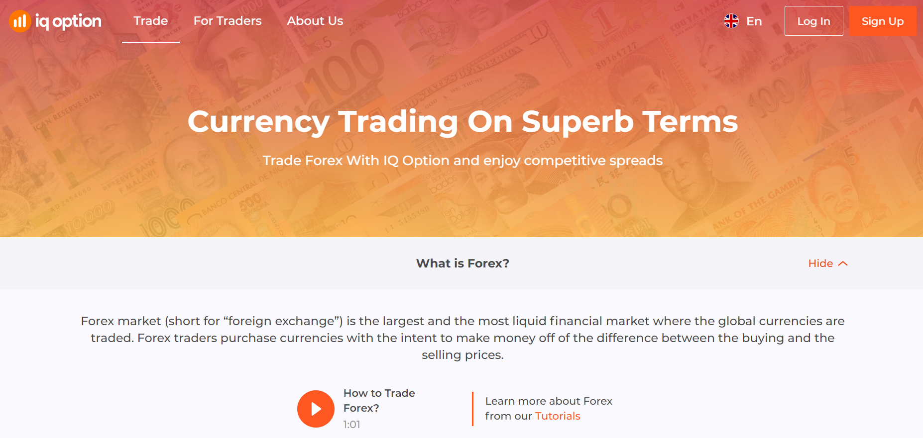 IQ Option trading forex